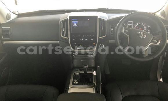 Buy Used Toyota Land Cruiser White Car in Mbabane in Manzini Buy Used Toyota Land Cruiser White Car in Mbabane in Manzini