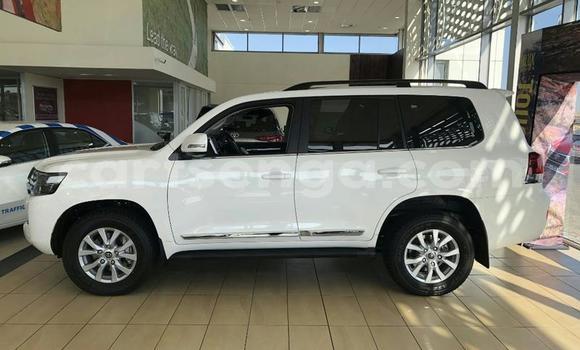 Buy Used Toyota Land Cruiser White Car in Mbabane in Manzini Buy Used Toyota Land Cruiser White Car in Mbabane in Manzini