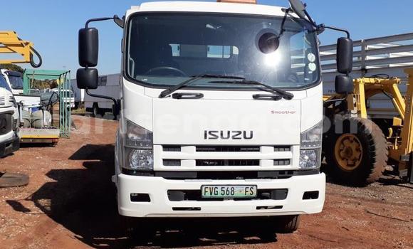 Acheter Occasion Utilitaire Isuzu FTR 850 Blanc à Ezulwini, Hhohho Acheter Occasion Utilitaire Isuzu FTR 850 Blanc à Ezulwini, Hhohho