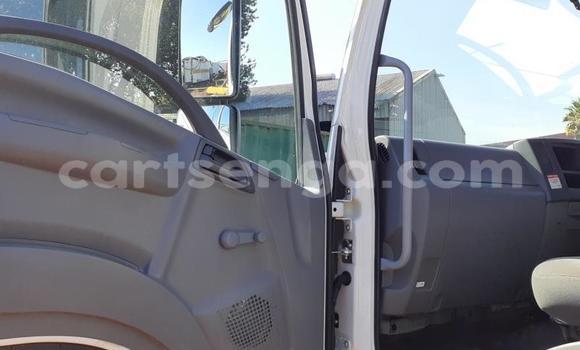 Buy Used Isuzu FTR 850 White Truck in Ezulwini in Hhohho Buy Used Isuzu FTR 850 White Truck in Ezulwini in Hhohho