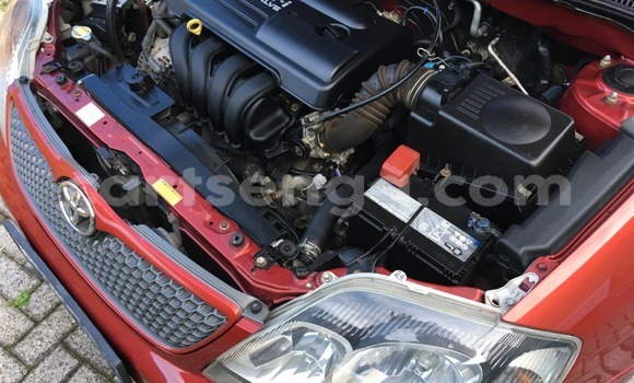 Buy Used Toyota Runx Red Car in Ezulwini in Hhohho Buy Used Toyota Runx Red Car in Ezulwini in Hhohho