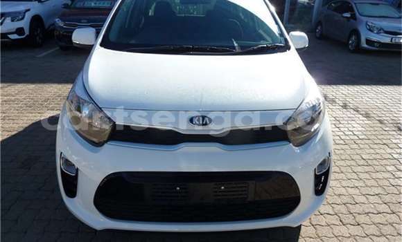 Acheter Occasion Voiture Kia Picanto Blanc à Manzini, Manzini Acheter Occasion Voiture Kia Picanto Blanc à Manzini, Manzini