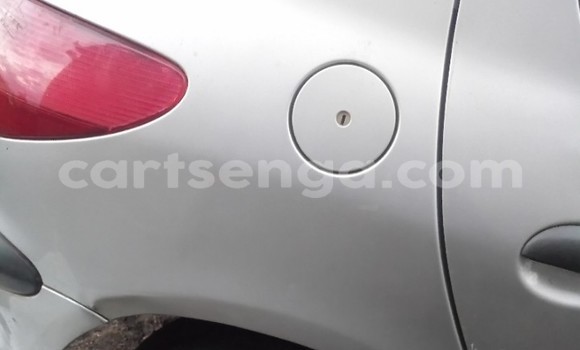 Buy Used Peugeot 206 Silver Car in Nsoko in Lubombo District