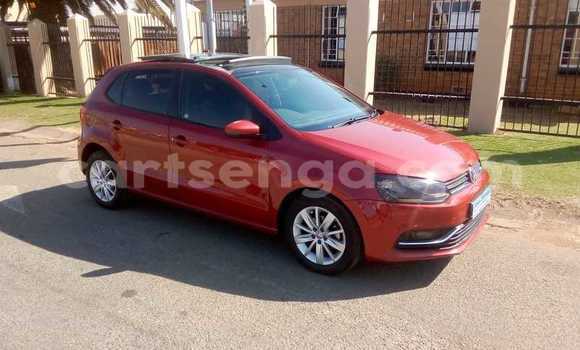 Acheter Occasion Voiture Volkswagen Polo Rouge à Bulembu, Hhohho