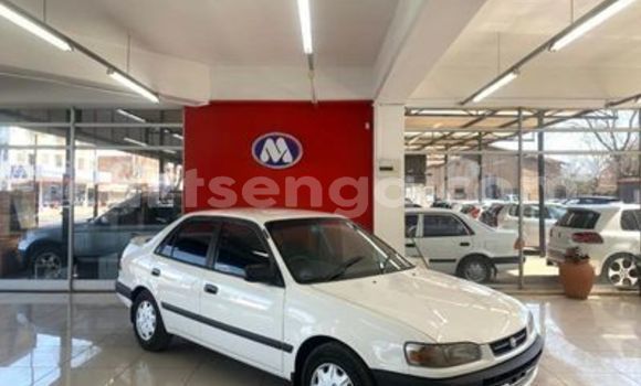 Buy Used Toyota Corolla White Car in Big Bend in Lubombo District Buy Used Toyota Corolla White Car in Big Bend in Lubombo District