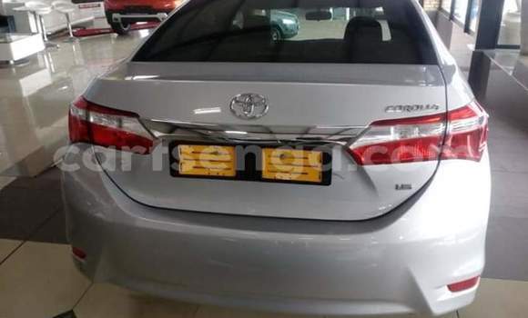 Buy Used Toyota Corolla White Car in Mbabane in Manzini Buy Used Toyota Corolla White Car in Mbabane in Manzini