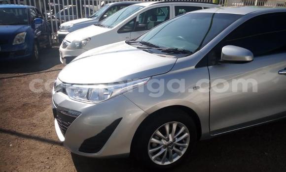 Buy Used Toyota Yaris Silver Car in Import - Dubai in Hhohho