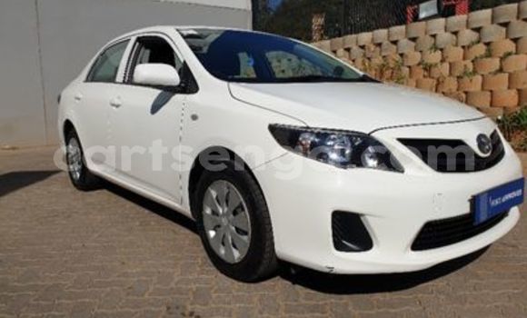 Buy Used Toyota Corolla White Car in Ezulwini in Hhohho