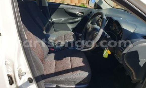 Buy Used Toyota Corolla White Car in Ezulwini in Hhohho Buy Used Toyota Corolla White Car in Ezulwini in Hhohho