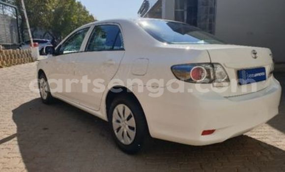 Buy Used Toyota Corolla White Car in Ezulwini in Hhohho Buy Used Toyota Corolla White Car in Ezulwini in Hhohho