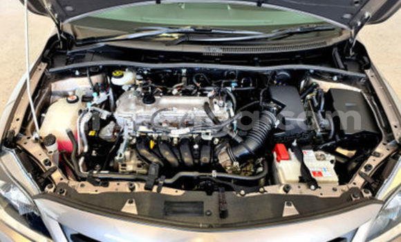 Acheter Occasion Voiture Toyota Corolla Marron à Bulembu, Hhohho Acheter Occasion Voiture Toyota Corolla Marron à Bulembu, Hhohho