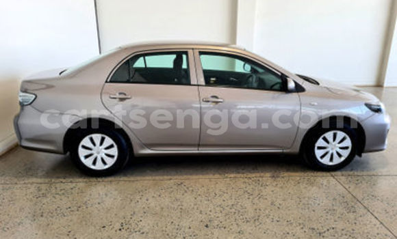 Acheter Occasion Voiture Toyota Corolla Marron à Bulembu, Hhohho Acheter Occasion Voiture Toyota Corolla Marron à Bulembu, Hhohho