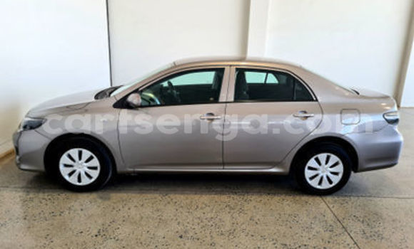 Acheter Occasion Voiture Toyota Corolla Marron à Bulembu, Hhohho Acheter Occasion Voiture Toyota Corolla Marron à Bulembu, Hhohho