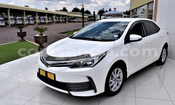 Medium with watermark toyota corolla lubombo district big bend 18234