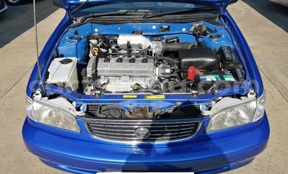 Buy Used Toyota Corolla Blue Car in Ezulwini in Hhohho Buy Used Toyota Corolla Blue Car in Ezulwini in Hhohho