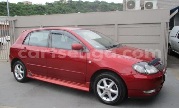 Buy Used Toyota Runx Other Car in Ezulwini in Hhohho Buy Used Toyota Runx Other Car in Ezulwini in Hhohho