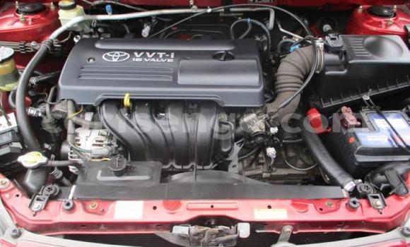 Acheter Occasion Voiture Toyota Runx Autre à Ezulwini, Hhohho Acheter Occasion Voiture Toyota Runx Autre à Ezulwini, Hhohho