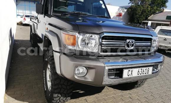 Buy Used Toyota Land Cruiser Brown Car in Manzini in Manzini