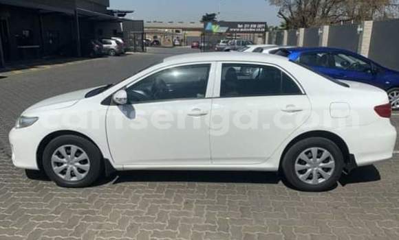 Buy Used Toyota Corolla White Car in Manzini in Manzini Buy Used Toyota Corolla White Car in Manzini in Manzini