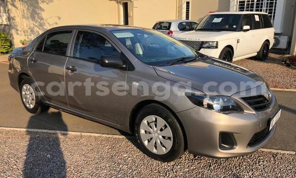 Acheter Occasion Voiture Toyota Corolla II Beige à Manzini, Manzini Acheter Occasion Voiture Toyota Corolla II Beige à Manzini, Manzini