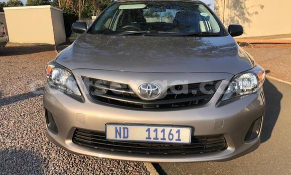 Acheter Occasion Voiture Toyota Corolla II Beige à Manzini, Manzini Acheter Occasion Voiture Toyota Corolla II Beige à Manzini, Manzini