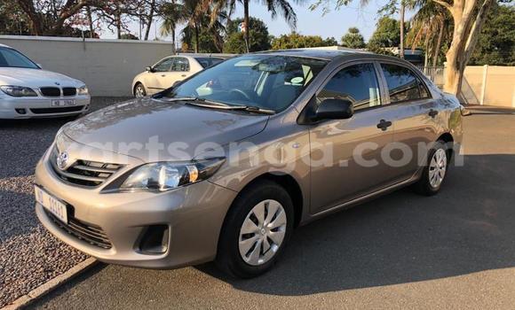 Acheter Occasion Voiture Toyota Corolla II Beige à Manzini, Manzini Acheter Occasion Voiture Toyota Corolla II Beige à Manzini, Manzini