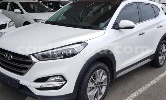 Nunua Ilio tumika Hyundai Tucson White Gari ndani ya Manzini nchini Manzini Nunua Ilio tumika Hyundai Tucson White Gari ndani ya Manzini nchini Manzini