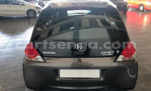 Acheter Occasion Voiture Honda Brio Marron à Manzini, Manzini Acheter Occasion Voiture Honda Brio Marron à Manzini, Manzini