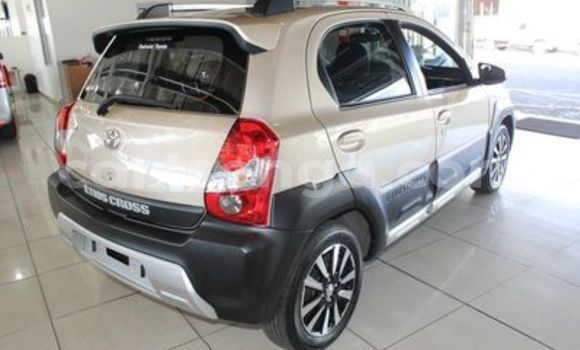 Buy Used Toyota Etios Other Car in Ezulwini in Hhohho Buy Used Toyota Etios Other Car in Ezulwini in Hhohho