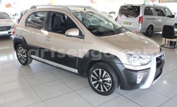 Buy Used Toyota Etios Other Car in Ezulwini in Hhohho Buy Used Toyota Etios Other Car in Ezulwini in Hhohho