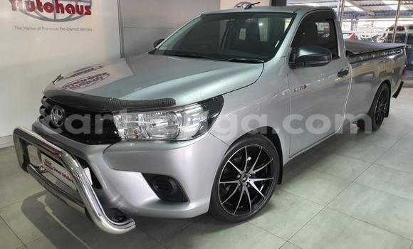Acheter Occasion Voiture Toyota Hilux Gris à Big Bend, Lubombo