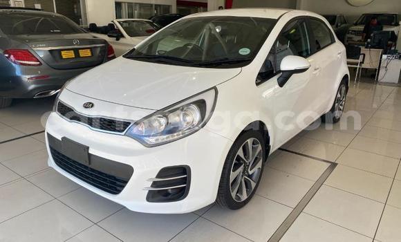 Buy Used Kia Rio White Car in Big Bend in Lubombo District Buy Used Kia Rio White Car in Big Bend in Lubombo District