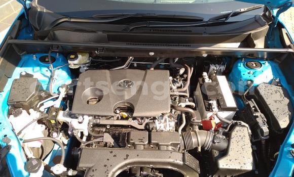 Buy Used Toyota RAV4 Blue Car in Big Bend in Lubombo District Buy Used Toyota RAV4 Blue Car in Big Bend in Lubombo District