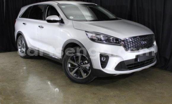Acheter Occasion Voiture Kia Sorento Blanc à Import - Dubai, Hhohho Acheter Occasion Voiture Kia Sorento Blanc à Import - Dubai, Hhohho