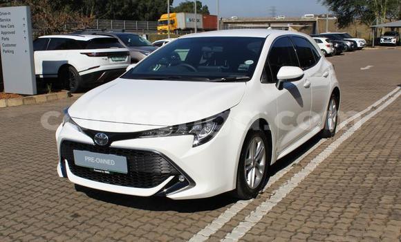 Nunua Ilio tumika Toyota Corolla White Gari ndani ya Manzini nchini Manzini