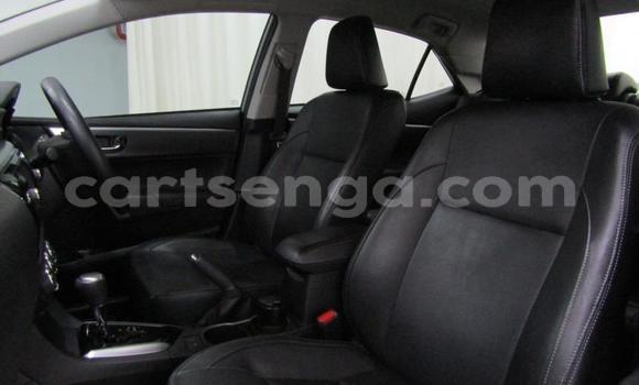 Buy Used Toyota Corolla Silver Car in Manzini in Manzini Buy Used Toyota Corolla Silver Car in Manzini in Manzini