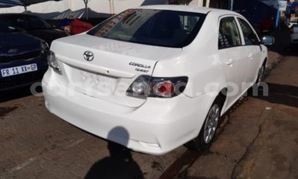 Buy Used Toyota Corolla White Car in Nhlangano in Shiselweni District Buy Used Toyota Corolla White Car in Nhlangano in Shiselweni District