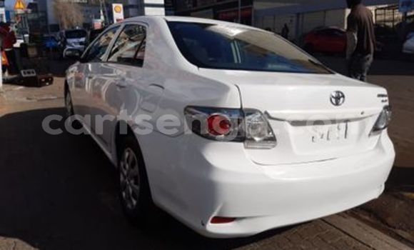 Buy Used Toyota Corolla White Car in Nhlangano in Shiselweni District Buy Used Toyota Corolla White Car in Nhlangano in Shiselweni District
