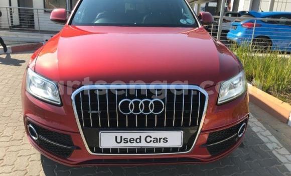 Nunua Ilio tumika Audi Q5 Red Gari ndani ya Manzini nchini Manzini Nunua Ilio tumika Audi Q5 Red Gari ndani ya Manzini nchini Manzini