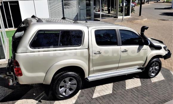 Nunua Ilio tumika Toyota Hilux Brown Gari ndani ya Big Bend nchini Lubombo Nunua Ilio tumika Toyota Hilux Brown Gari ndani ya Big Bend nchini Lubombo