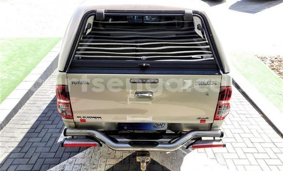 Nunua Ilio tumika Toyota Hilux Brown Gari ndani ya Big Bend nchini Lubombo Nunua Ilio tumika Toyota Hilux Brown Gari ndani ya Big Bend nchini Lubombo