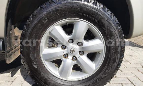 Nunua Ilio tumika Toyota Hilux Brown Gari ndani ya Big Bend nchini Lubombo Nunua Ilio tumika Toyota Hilux Brown Gari ndani ya Big Bend nchini Lubombo