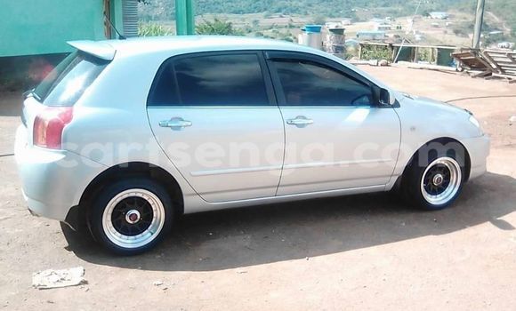 Acheter Occasion Voiture Toyota Runx Gris à Manzini, Manzini
