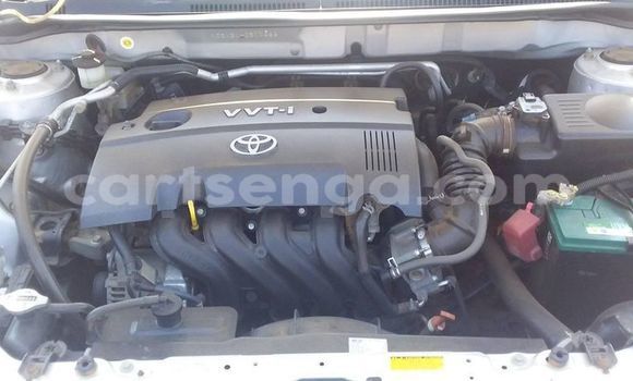 Acheter Occasion Voiture Toyota Runx Gris à Manzini, Manzini Acheter Occasion Voiture Toyota Runx Gris à Manzini, Manzini