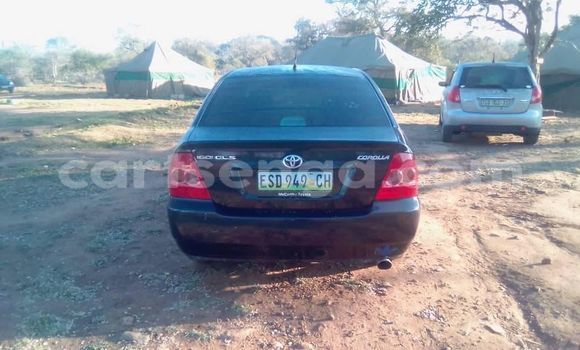 Acheter Occasion Voiture Toyota Corolla Noir à Manzini, Manzini Acheter Occasion Voiture Toyota Corolla Noir à Manzini, Manzini