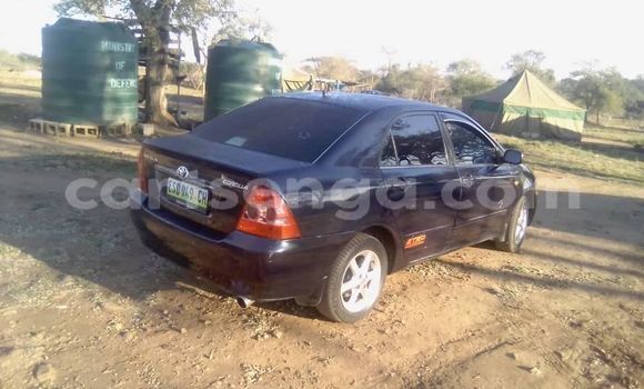 Acheter Occasion Voiture Toyota Corolla Noir à Manzini, Manzini Acheter Occasion Voiture Toyota Corolla Noir à Manzini, Manzini