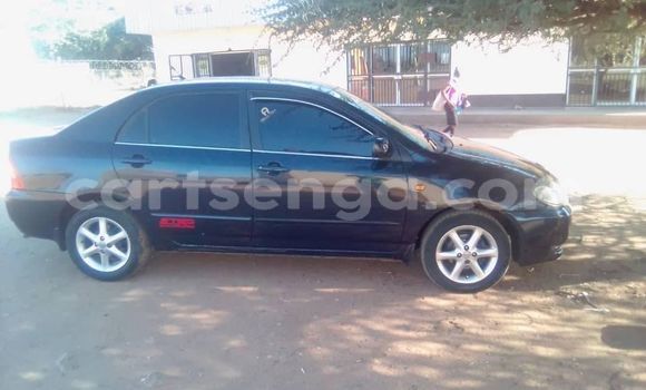 Acheter Occasion Voiture Toyota Corolla Noir à Manzini, Manzini Acheter Occasion Voiture Toyota Corolla Noir à Manzini, Manzini