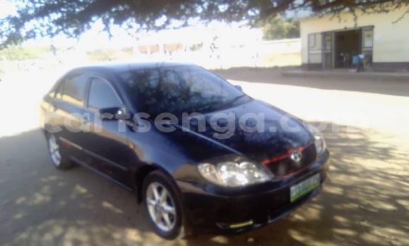 Acheter Occasion Voiture Toyota Corolla Noir à Manzini, Manzini Acheter Occasion Voiture Toyota Corolla Noir à Manzini, Manzini