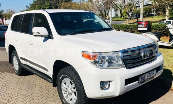 Buy Used Toyota Land Cruiser White Car in Hluti in Shiselweni District