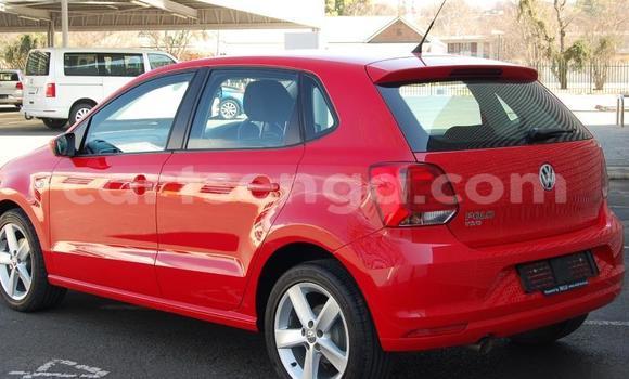 Buy Used Volkswagen Polo Red Car in Manzini in Manzini Buy Used Volkswagen Polo Red Car in Manzini in Manzini